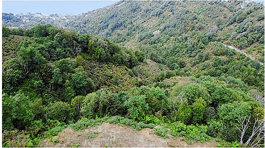 MABEL ,DEN ÇAYTEPE MH.BOSTA MEVKİSİNDE DENİZ MANZARALI ARSA